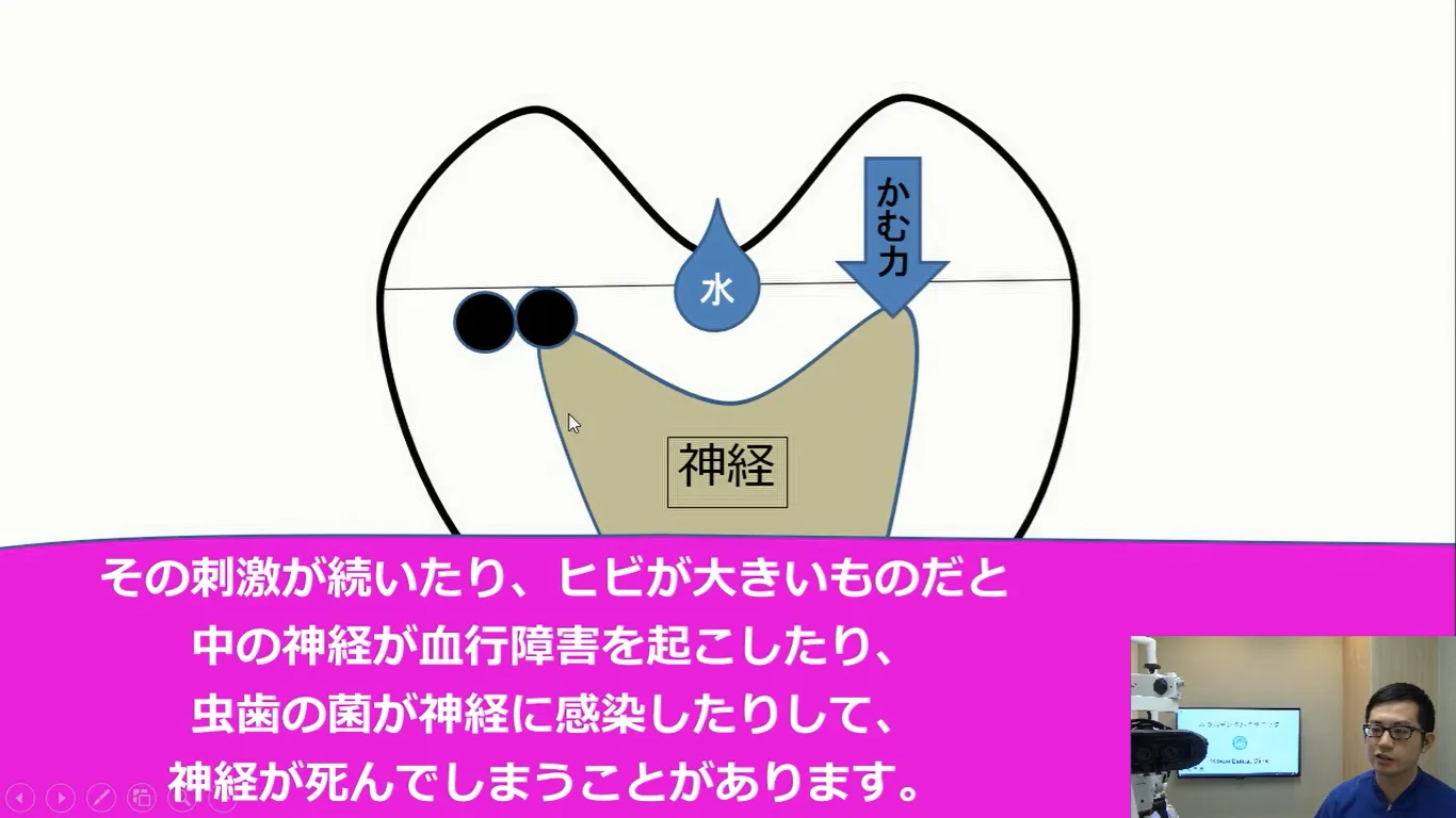 今注目されている、「かむ力」について動画でお話します。